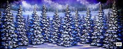 Snow Forest