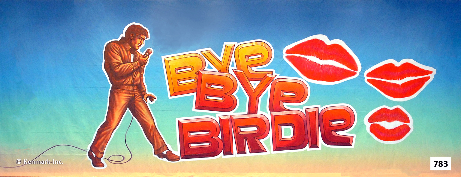 Bye Bye Birdie Package 1 17x45