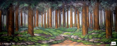 Forest Tall Trees