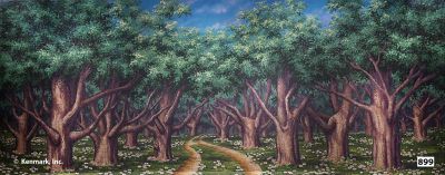 Country Road