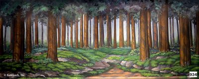Forest Tall Trees